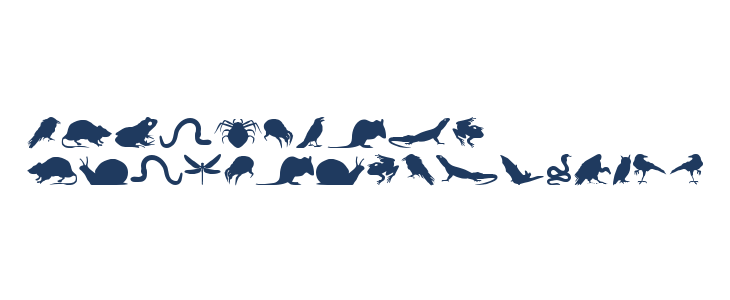 Creepy Crawlies Other Characters