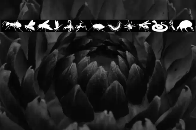 Creepy Crawlies Font examples