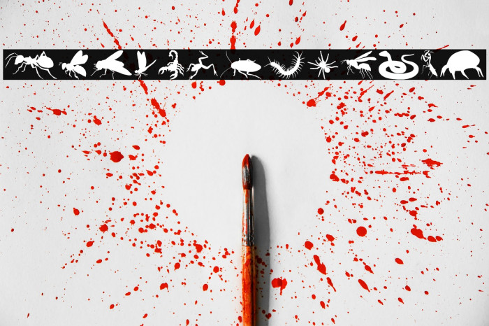 Creepy Crawlies Example 2