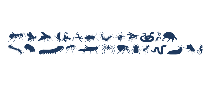 Creepy Crawlies Lowercase