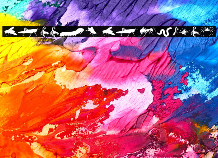 Creepy Crawlies Example 3