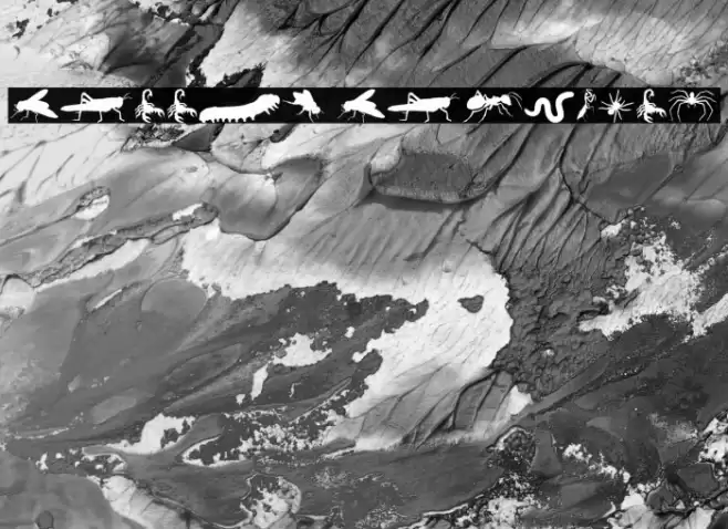 Creepy Crawlies Font examples