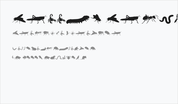 Creepy Crawlies Business Card