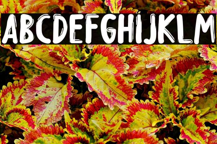 Creepy Night Example 1