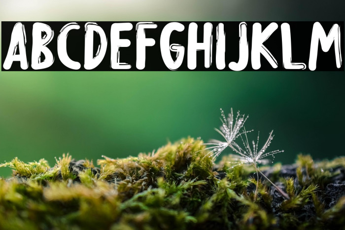 Creepy Night Example 2