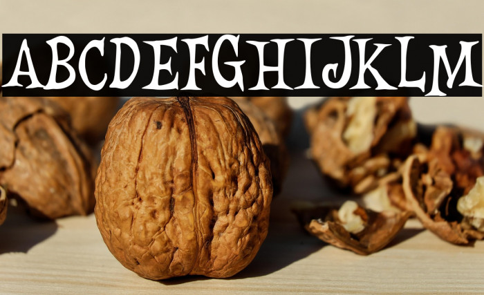 Creepy Pumkin Example 3