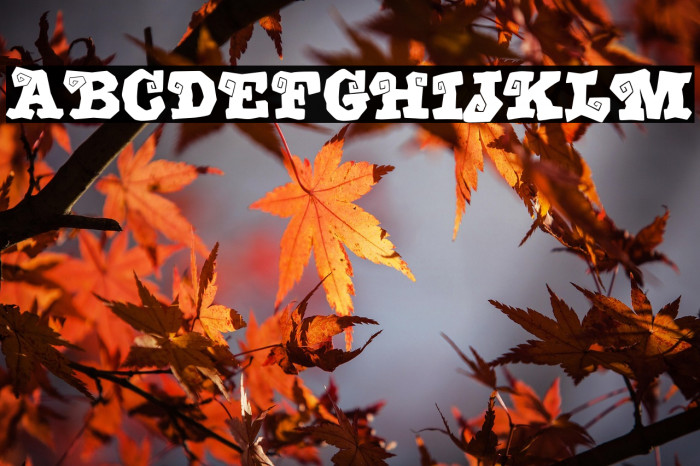 Creepy Spiders Demo Example 1