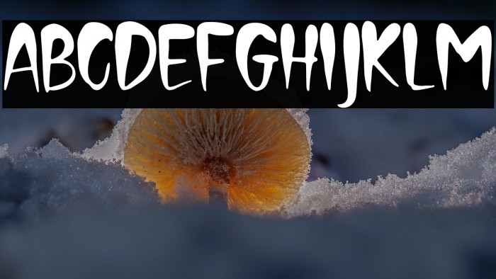 CreepyFace-Regular Example 2