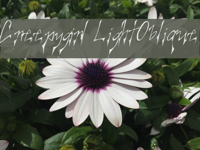 Creepygirl LightOblique Font examples