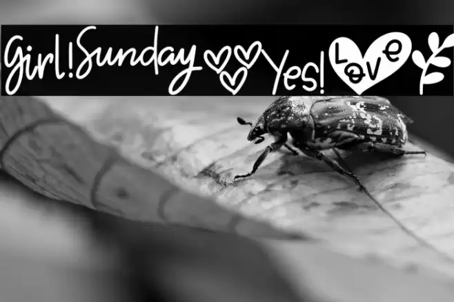 Crefta Font examples