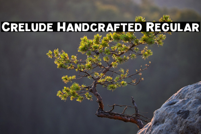 Crelude Handcrafted Regular Example 1