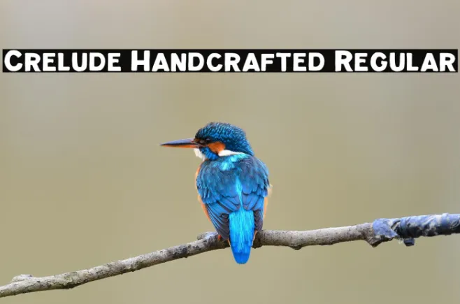 Crelude Handcrafted Regular Example 3