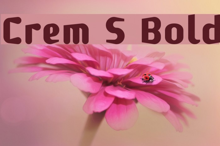 Crem S Bold Font examples