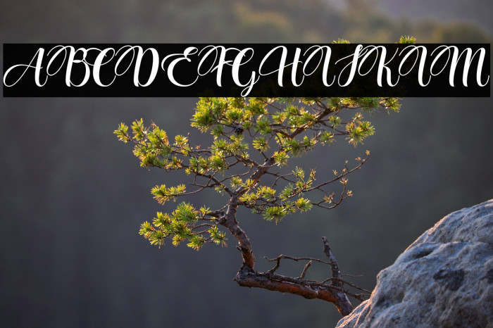 Creme Espana Example 3