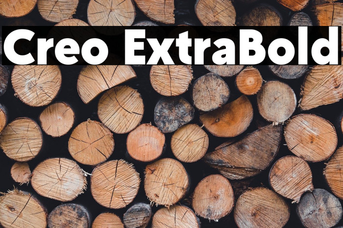 Creo ExtraBold Example 1