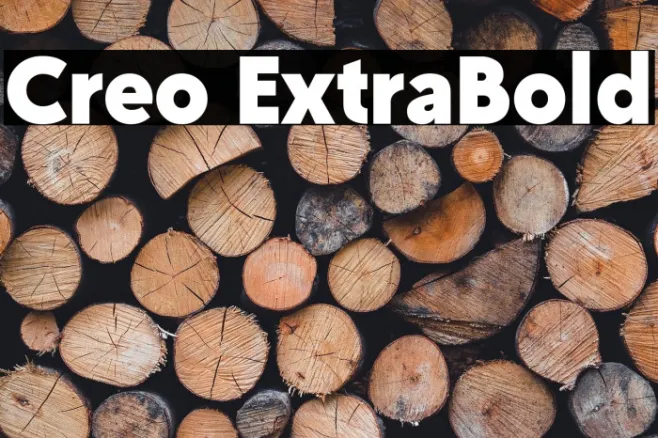 Creo ExtraBold Example 1