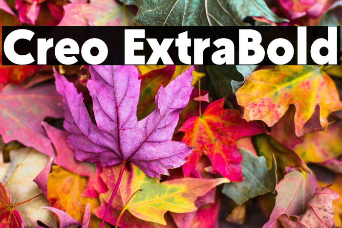 Creo ExtraBold Example 2