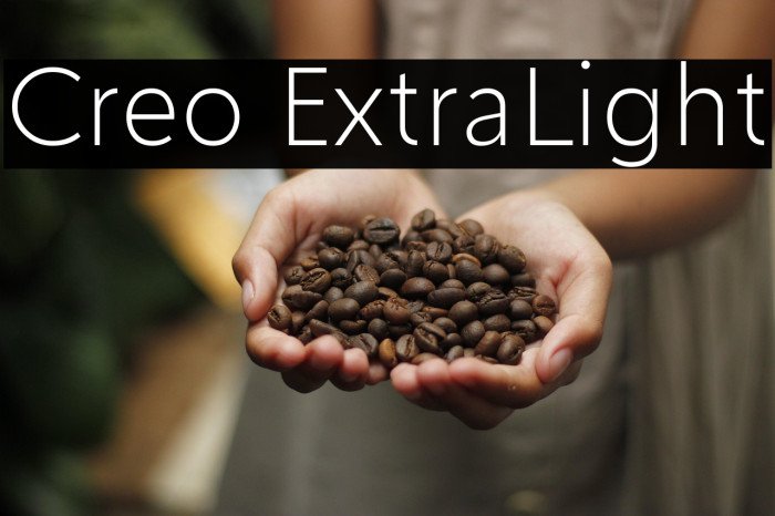 Creo ExtraLight Example 2