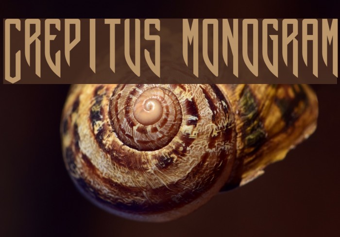 Crepitus monogram Fonte examples
