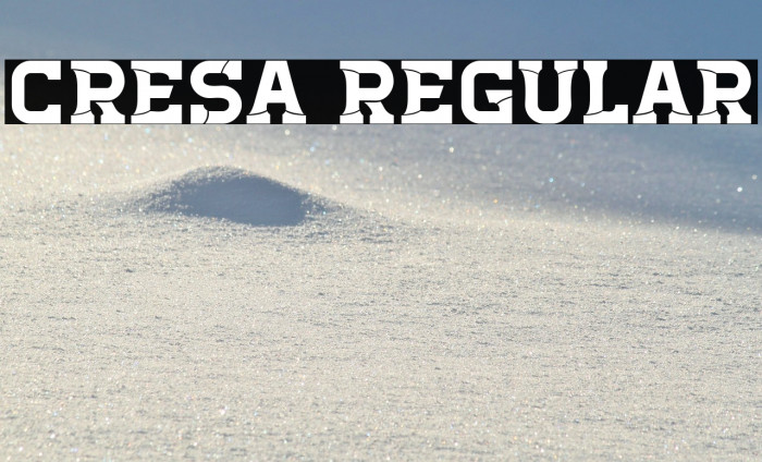 Cresa Regular Example 2