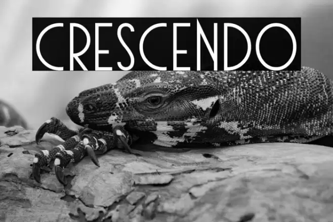Crescendo Font examples