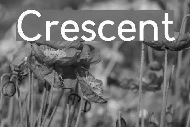 Crescent Font examples