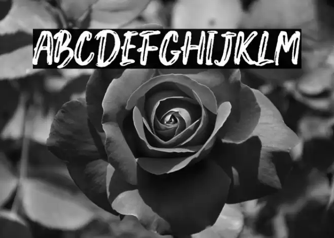 Creshex Brush Font Font examples