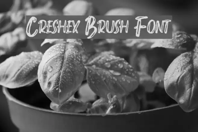 Creshex Brush Font Font examples