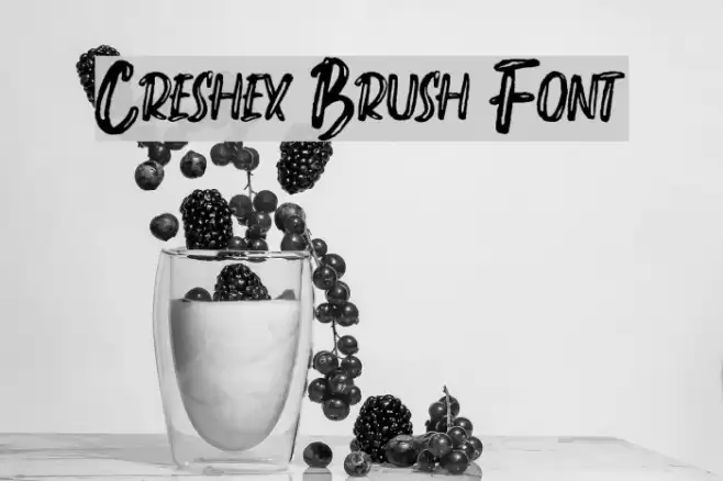 Creshex Brush Font Font examples