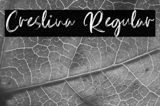 Creslina Regular Font examples