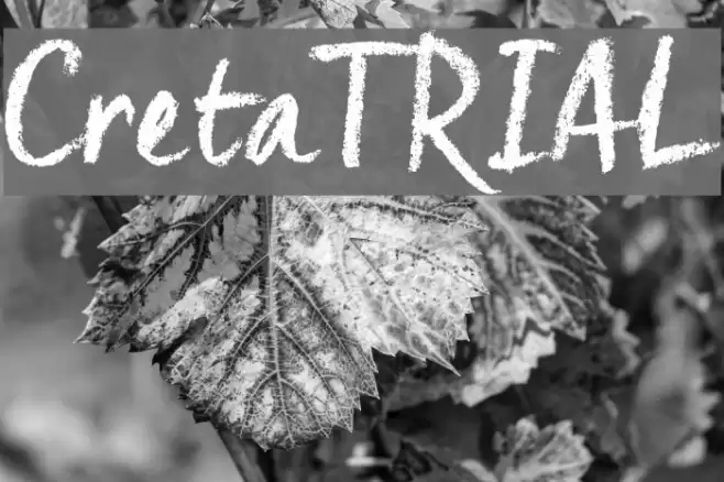 Creta_TRIAL Font examples