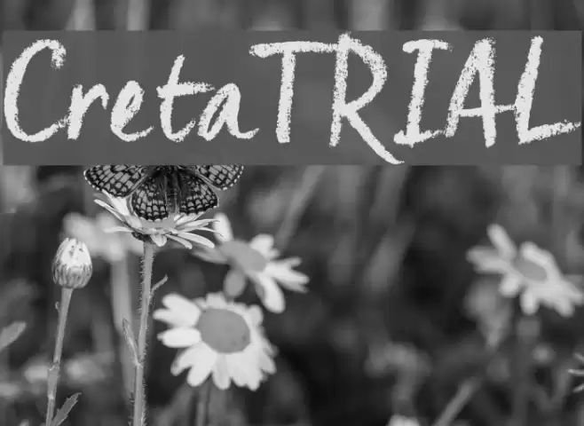Creta_TRIAL Font examples