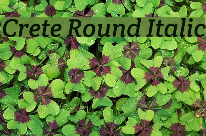 Crete Round Italic Font examples