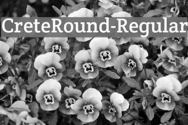 CreteRound-Regular Font examples