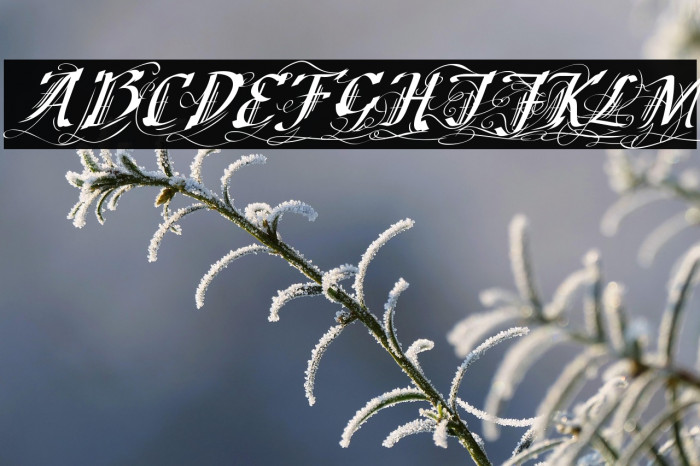 Cretino-Regular Example 2