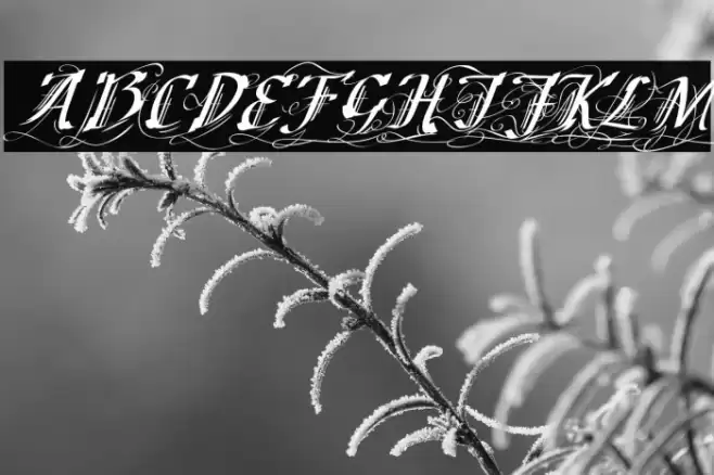 Cretino-Regular Font examples