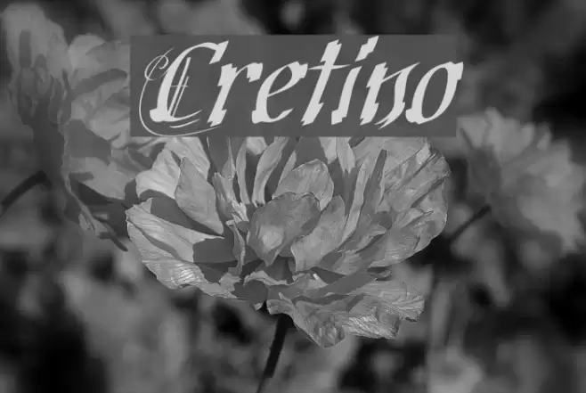 Cretino Font examples