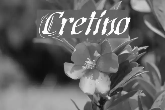 Cretino Font examples