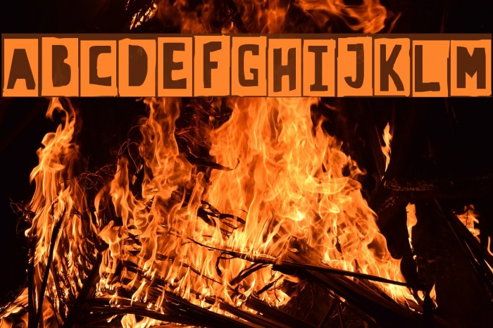 CrewHassan Black Example 2