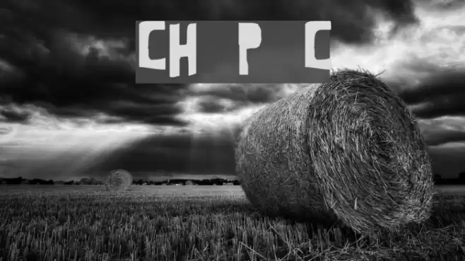 CrewHassan Positive Condesed Font examples