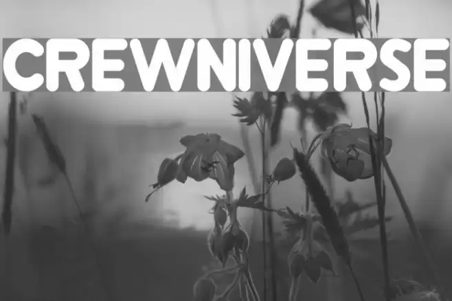 Crewniverse Font examples