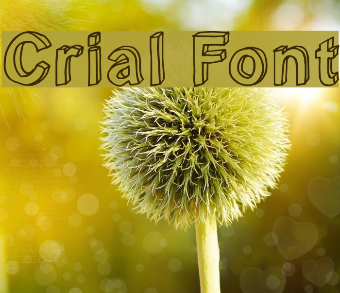Crial Font examples