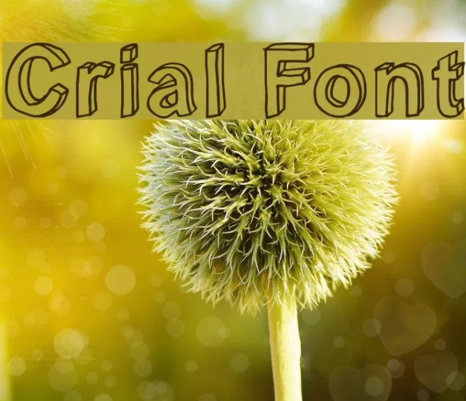 Crial Example 3