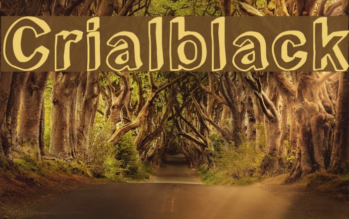 Crialblack Example 2