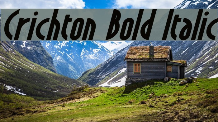 Crichton Bold Italic Schriftart examples