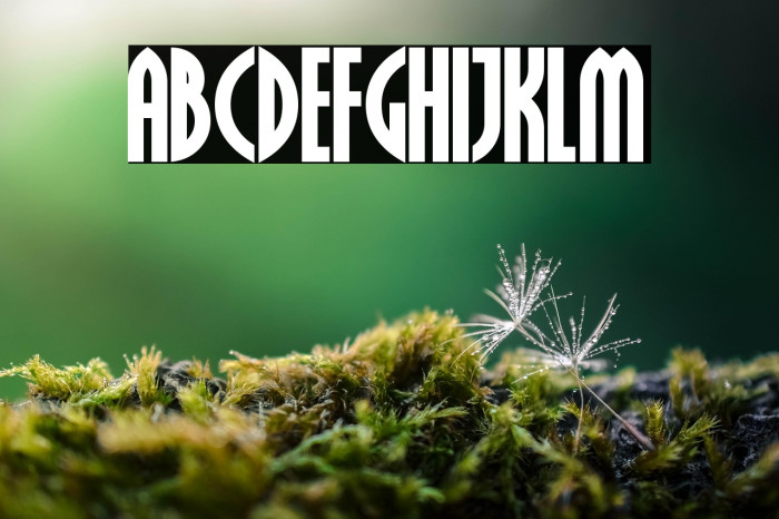 Crichton Bold Example 2