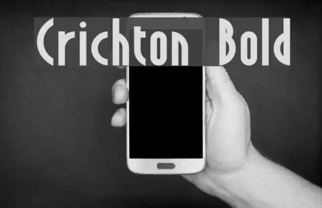 Crichton Bold Font examples