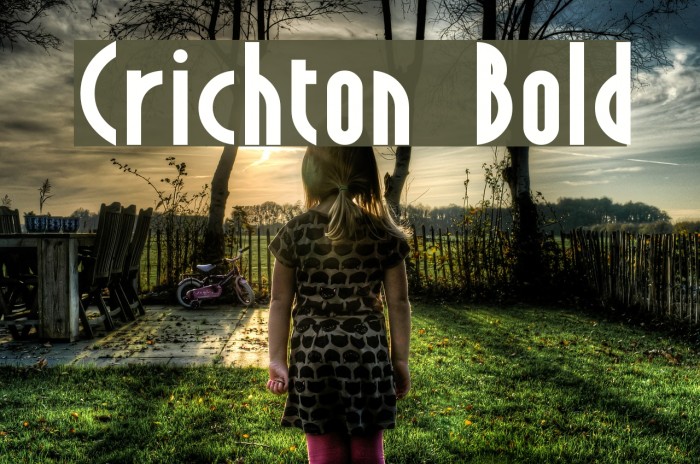Crichton Bold Шрифта examples