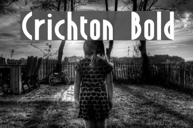 Crichton Bold Font examples
