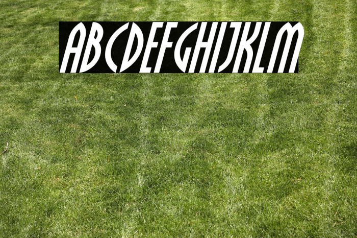 Crichton Italic Example 1